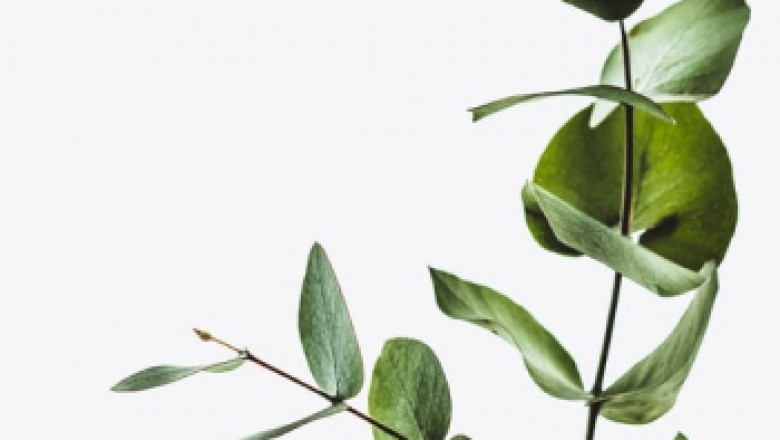 Best Online Investing Companies