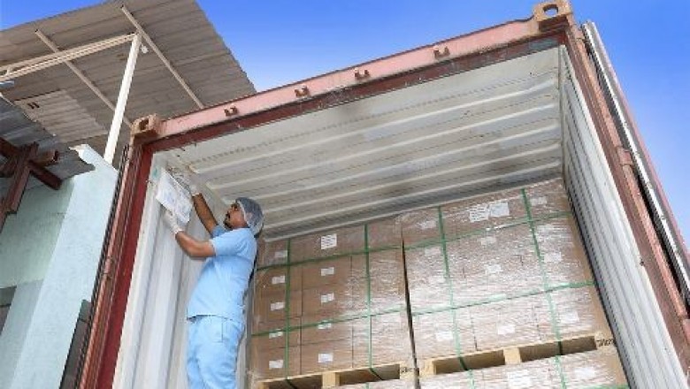 Cargo desiccant bag
