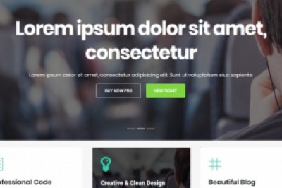 WordPress - Why Your Company's Website Wants It