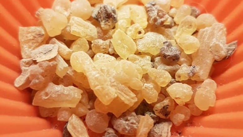 Boswellia Serrata Extract supplier | Salai Guggul
