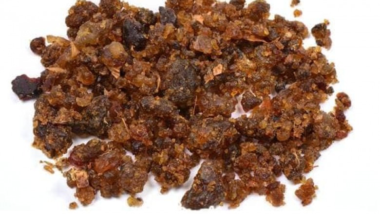 Commiphora Mukul | Guggul Extract supplier & Manufacturers