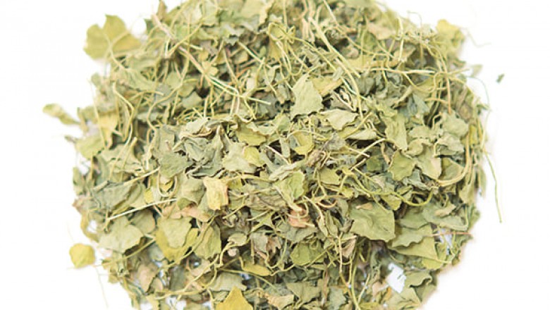 Fenugreek Extract Supplier | Fenugreek Extract manufacturer