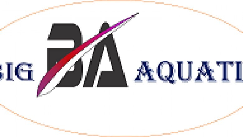 Big-Aquatic : Create your own digital world with us