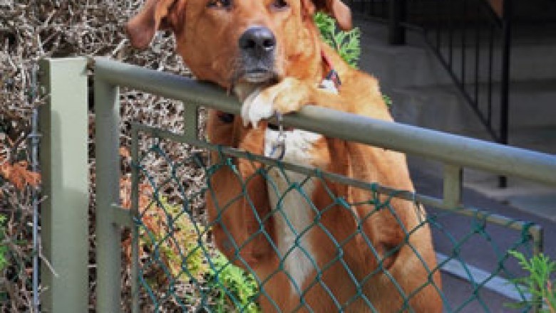 The Ultimate Guide To Fence Installers