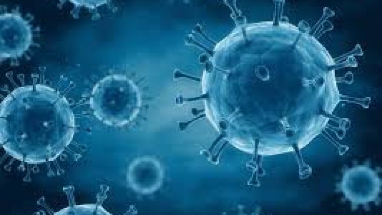 Oncolytic Virus Therapy Market Trends, Size, Forecast - 2018-2023