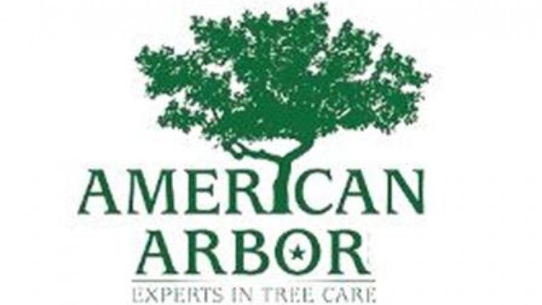 Tree Removal - What You must Know