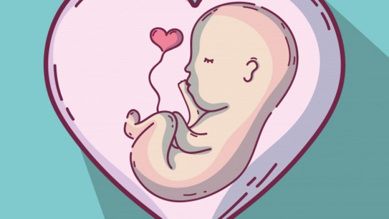 Baby Cord Blood Banking
