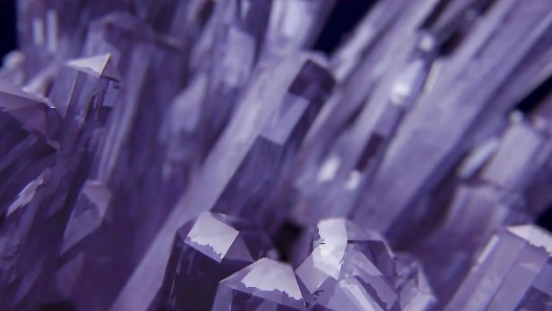 Dream Date Laxmi Jaimala Theme