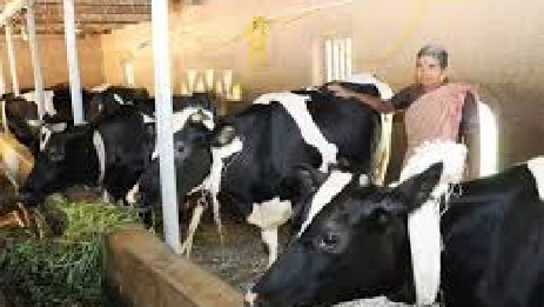 Global Animal Husbandry Market , Size, Forecast - 2019-2025