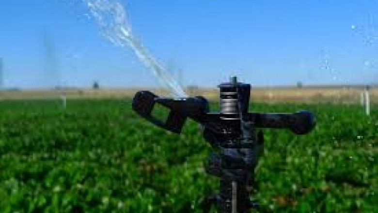 The Biopesticides Market Size That Wins Business Demand in 2020