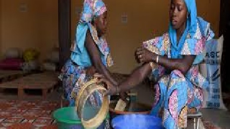 Global Microfinance Industry Market Trends, Size, Forecast - 2019-2025