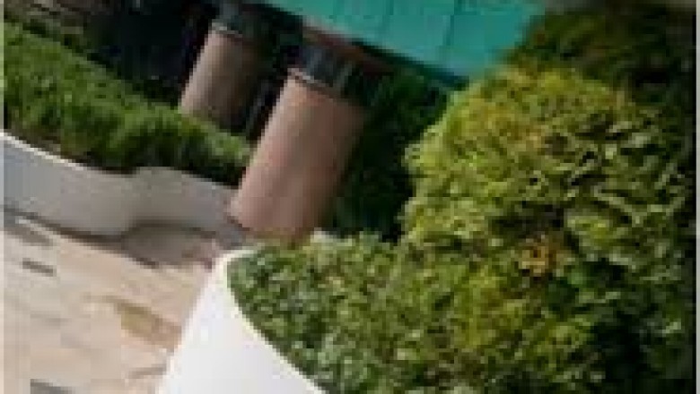 outdoor plants-Chen Wa is a landscape designer company