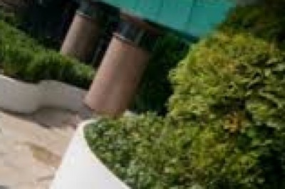 outdoor plants-Chen Wa is a landscape designer company