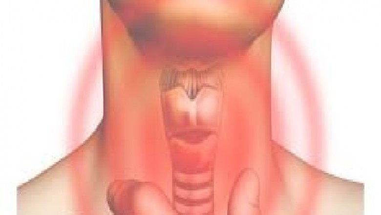 Global Thyroid Gland Disorder Market Trends, Size, Share, Forecast - 2019-2025