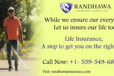 Term Life Insurance quotes