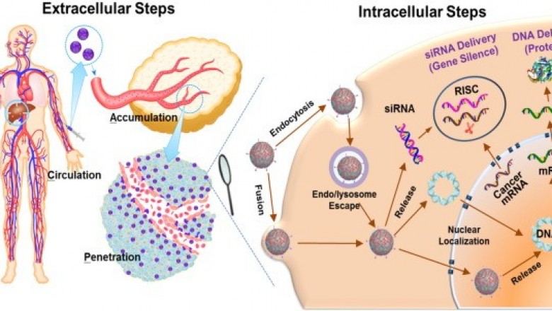 Cancer Gene Therapy Market Synthesis and Healthcare Experts Reviews 2020 - 2030