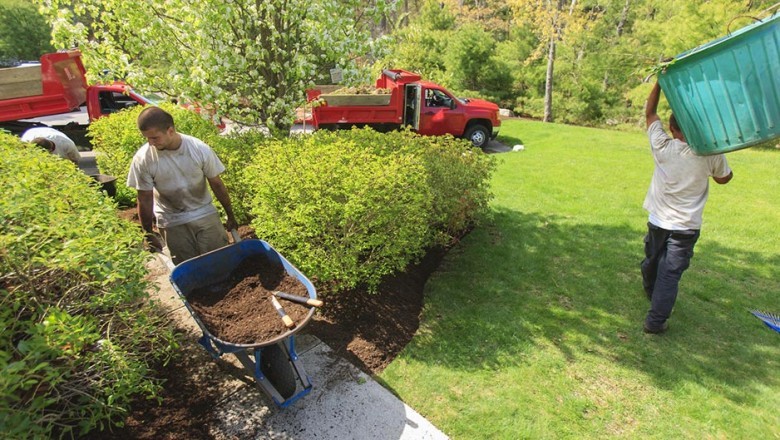 Lawn Upkeep Services
