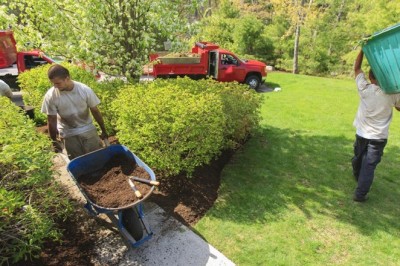 Lawn Upkeep Services