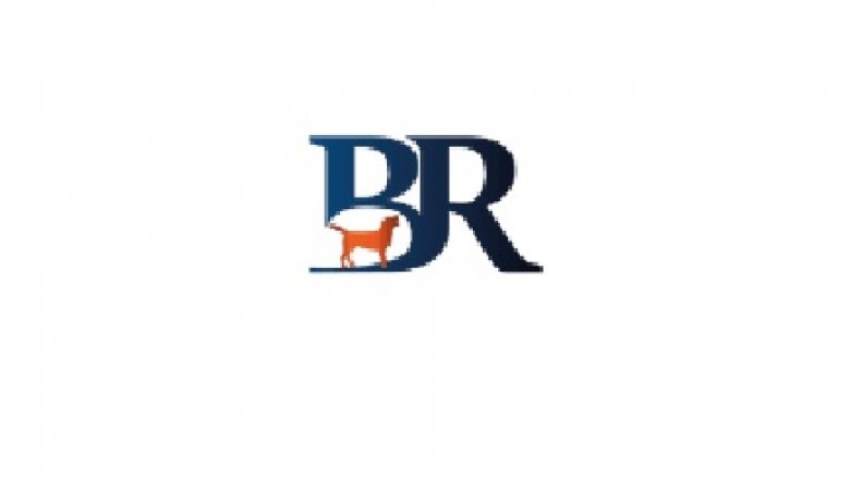 Bay Rivers Boarding & Daycare