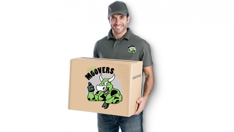 removalists Balmain