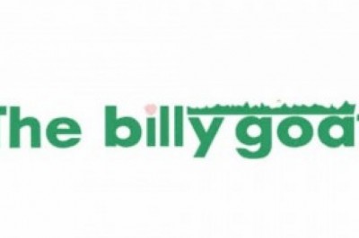 Miami FL Lawn Care, Lawn Maintenance  & Landscaping Experts