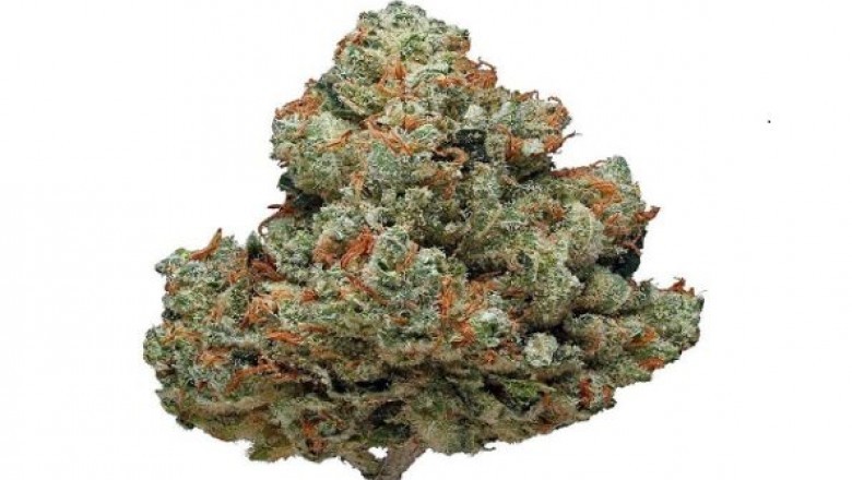 What to do with kief