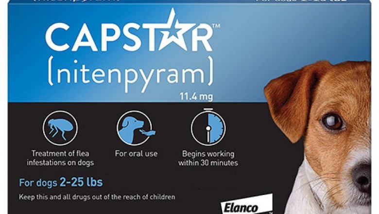 Capstar For Dogs