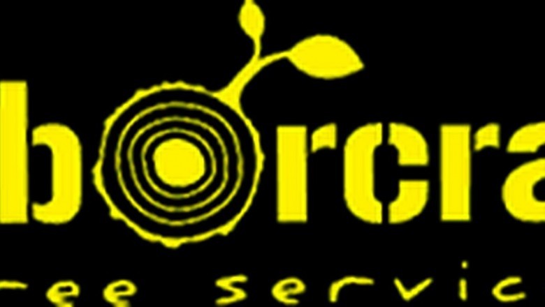 Preliminary Tree Assessment | Arborcraft Tree Services