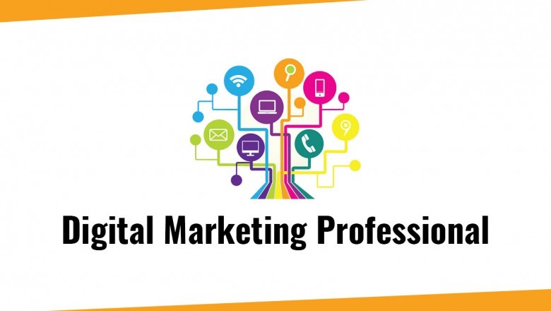Professional digital marketing service in India