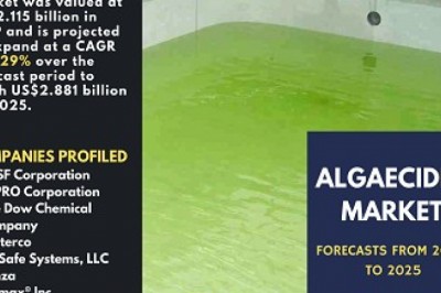 Understanding the importance of Algaecides