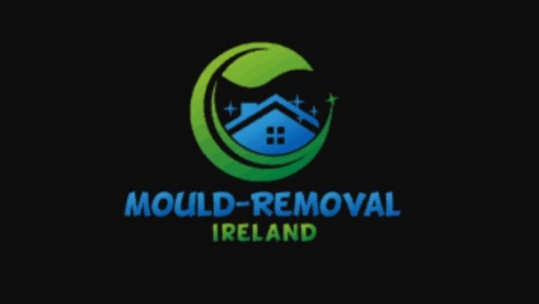 A Mould Infested Home - An Inside Look