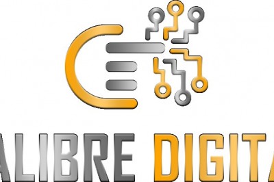 How Will Digital Marketing Increase Your Business Growth | Calibre Digital