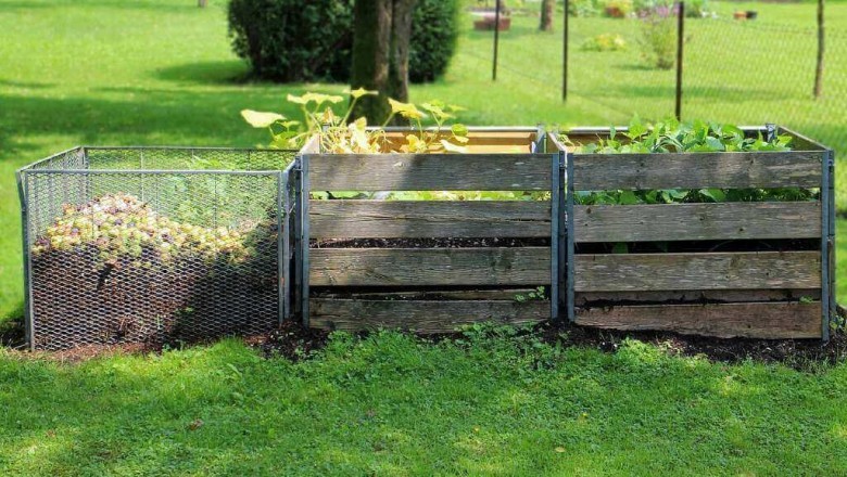 5 Common Worm Bin Problems With Solutions-GardenFunction