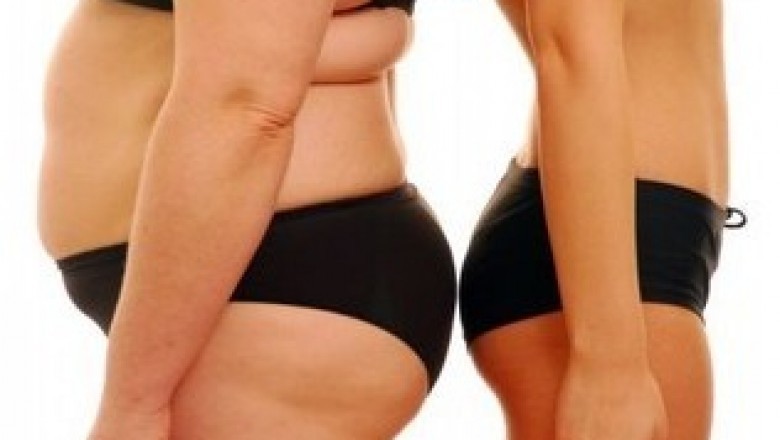 Very good Fat reduction Suggestions