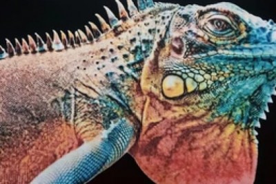 textile printing company - macrofast.com/post/digital-3d-print-puff