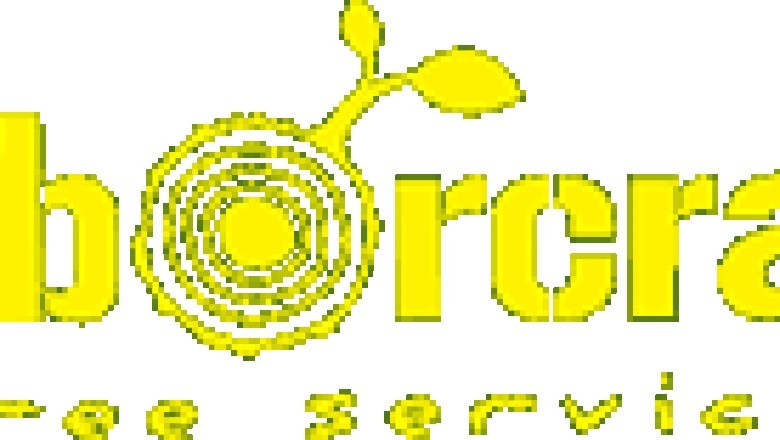 Why Choose ArborCraft Tree Services - Tree Arborist Melbourne, VIC