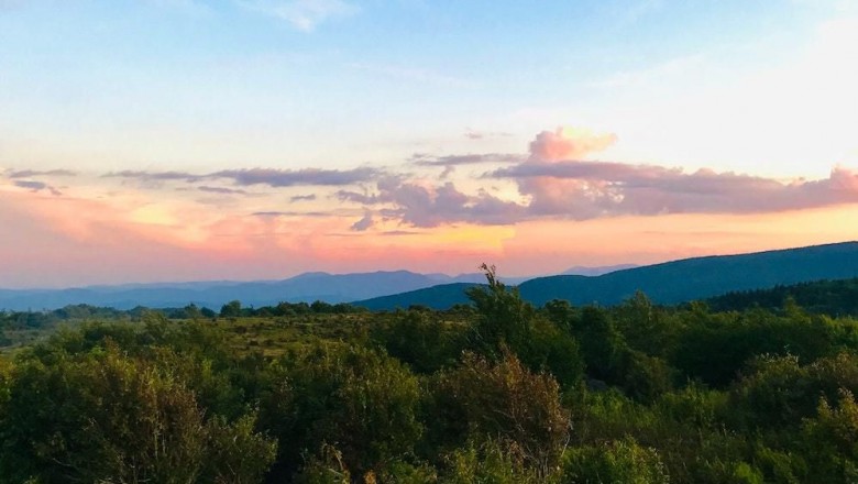 Why should you look for holiday tours and travel company for your next trip?