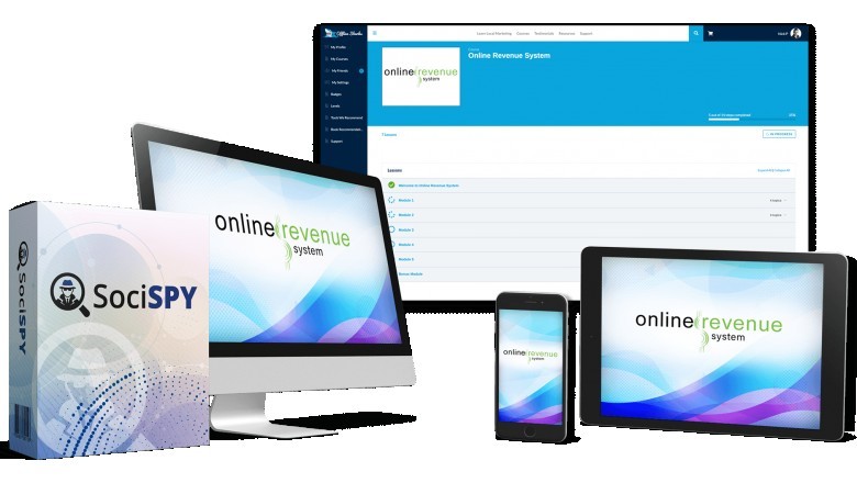 ONLINE REVENUE SYSTEM REVIEW