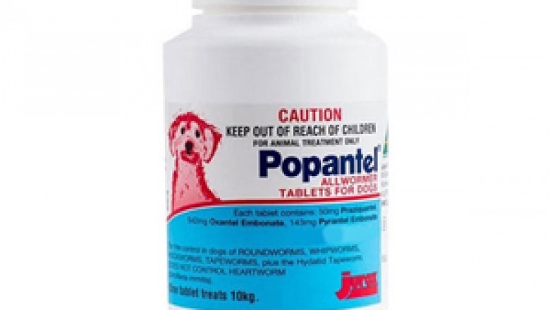 Popantel For Dogs