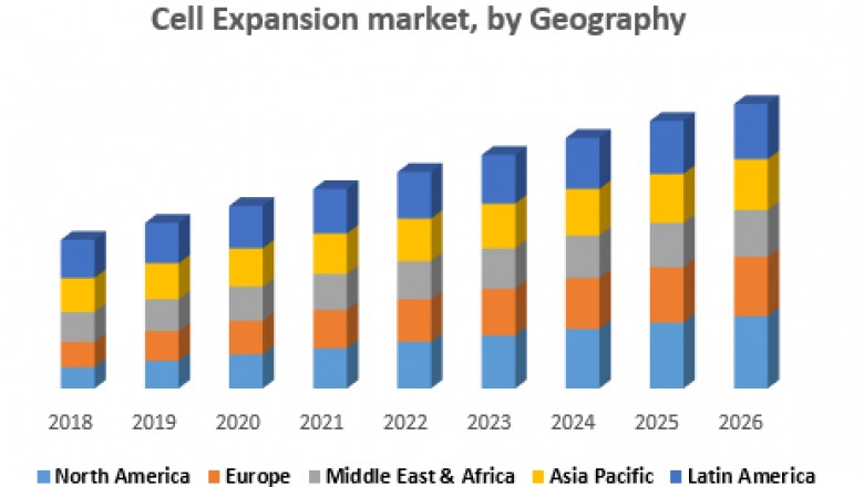 Global Cell Expansion Market