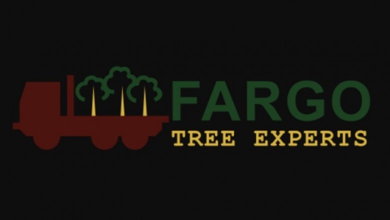 Whenever you Need to Hire a Tree Expert