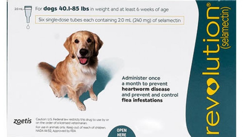 Best Product of the year "Revolution For Dogs"
