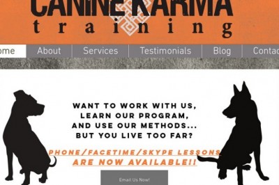 In Home Dog Training Long Island
