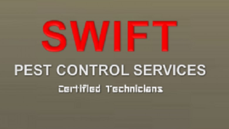 Rat Control St Albans