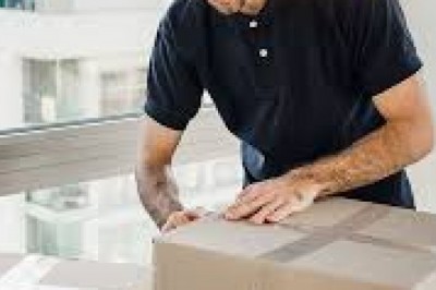 Express India Parcel Service
