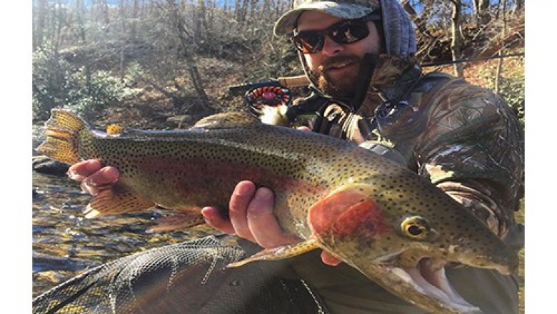 Advantages of canada fly in fishing cabins