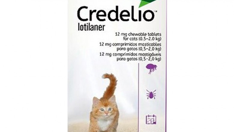 Credelio - Cat Supplies