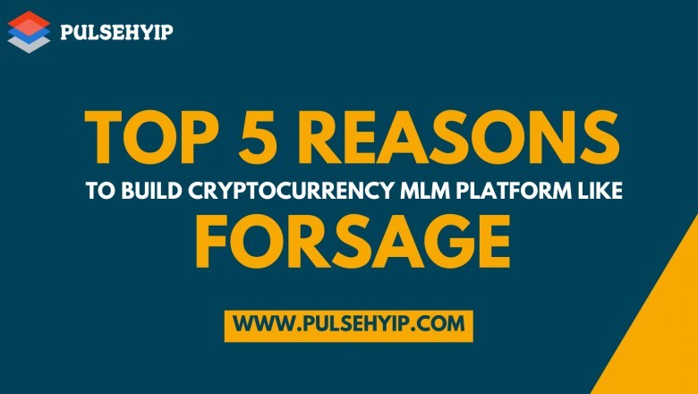 Develop Cryptocurrency MLM Platform like Forsage – Pulsehyip