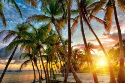 Autumn Lawn Care in Miami