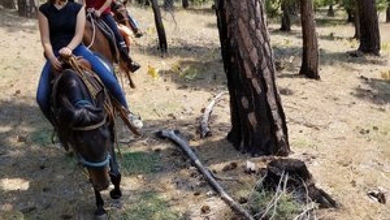 Horse Riding Events Sacramento CA
